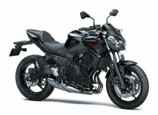 Kawasaki Z650 2021 - Metallic Spark Black / Metallic Flat Spark Black