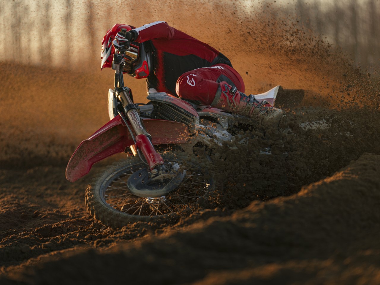 Desmo450 MX Factory - Divulgação Desmo450 MX Factory - Divulgação